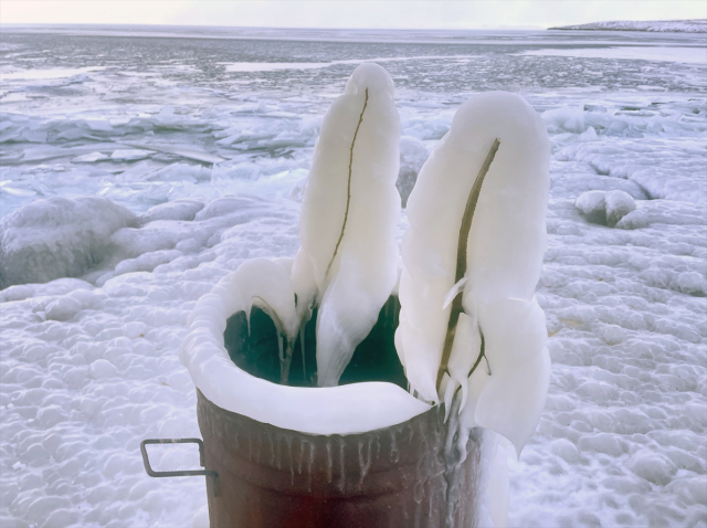 Even the waves in Çıldır Lake froze