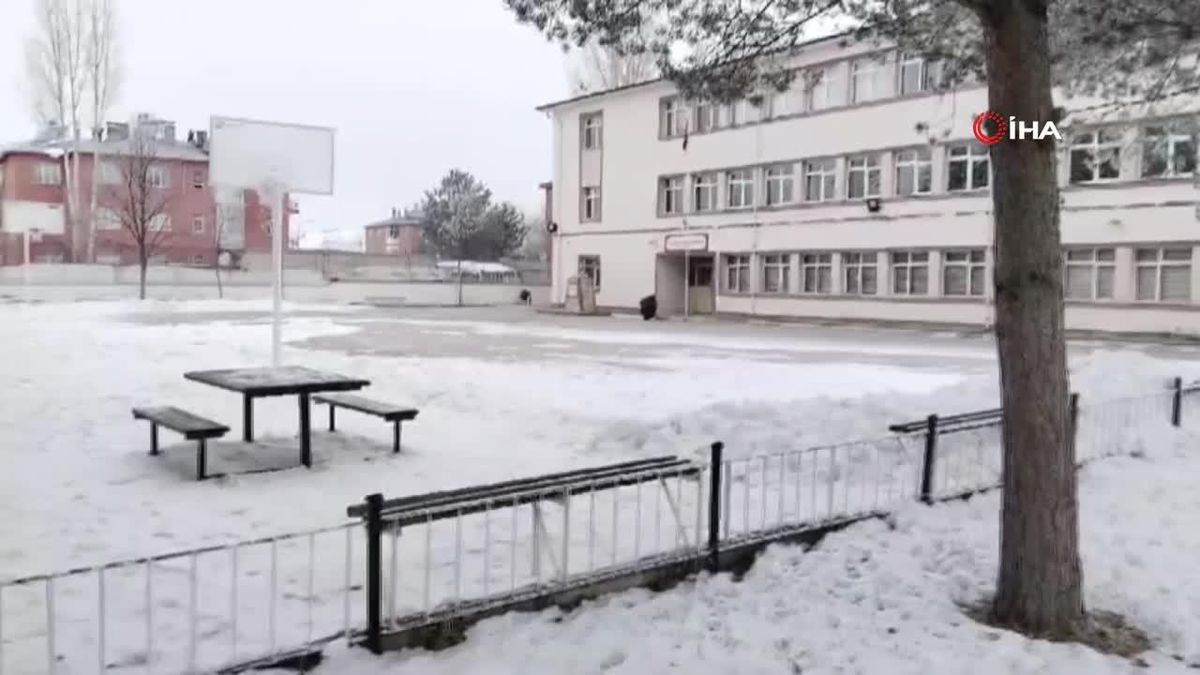 Erzincan'da Aşırı Soğukta Kargalar Dondu