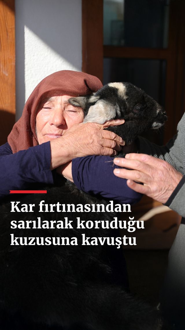https://foto.haberler.com/haber/2024/12/23/kar-firtinasindan-sarilarak-korudugu-kuzusuna-kavustu_591_o.jpg