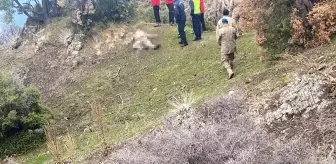 Antalya'da Ava Giden Adamın Cansız Bedeni Bulundu