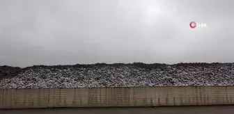 Muş'ta Şeker Pancarı Kampanyasından Rekor Alım