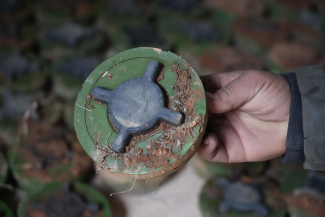 PKK/YPG has laid hundreds of mines in the olive groves of Manbij