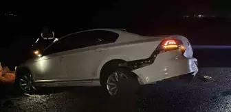 Şanlıurfa'da Otomobilin Şarampole Devrilmesi Sonucu 3 Yaralı