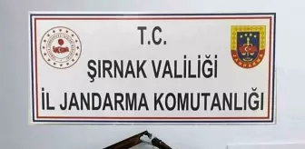 Şırnak'ta Kaçakçılık Operasyonunda 2 Milyon TL'lik Malzeme Ele Geçirildi