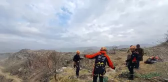 Hasankeyf'te Mahsur Kalan Keçi AFAD Tarafından Kurtarıldı