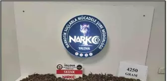 Yalova'da Uyuşturucu Operasyonlarında 7 Şüpheli Tutuklandı