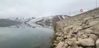 Yüksekova'da Kuraklık Alarmı: Baraj Su Seviyesi 20 Metre Düştü