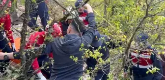 İznik'te Definecilerin Kaçak Kazı Girişimi Suç Üstü Yakalandı