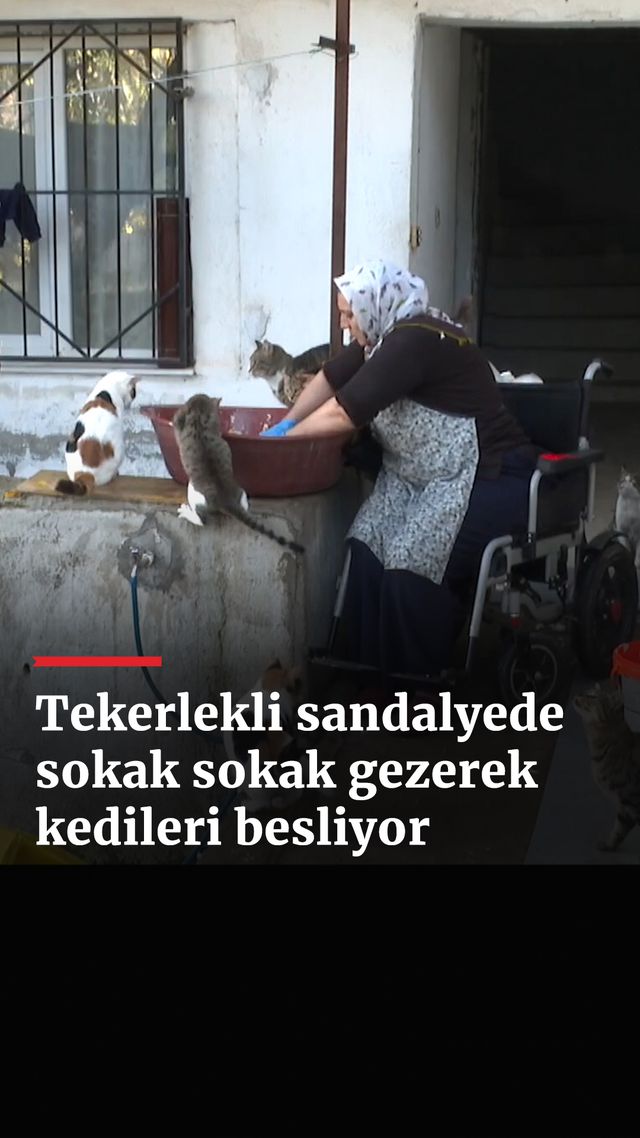 https://foto.haberler.com/haber/2024/12/25/tekerlekli-sandalyede-sokak-sokak-gezerek-kedileri-besliyor_7028_o.jpg