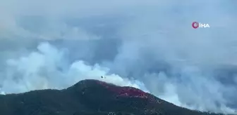 Avustralya'da Orman Yangını: 70 Bin Hektar Alan Küle Döndü