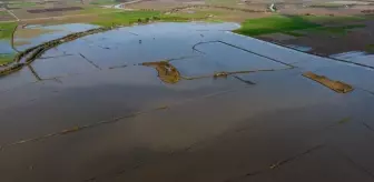 Büyük Menderes Nehri'nde Taşkınlar Yaşandı