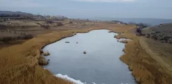 Iğdır'daki Üçkaya Gölü Soğuk Hava Nedeniyle Buzla Kaplandı