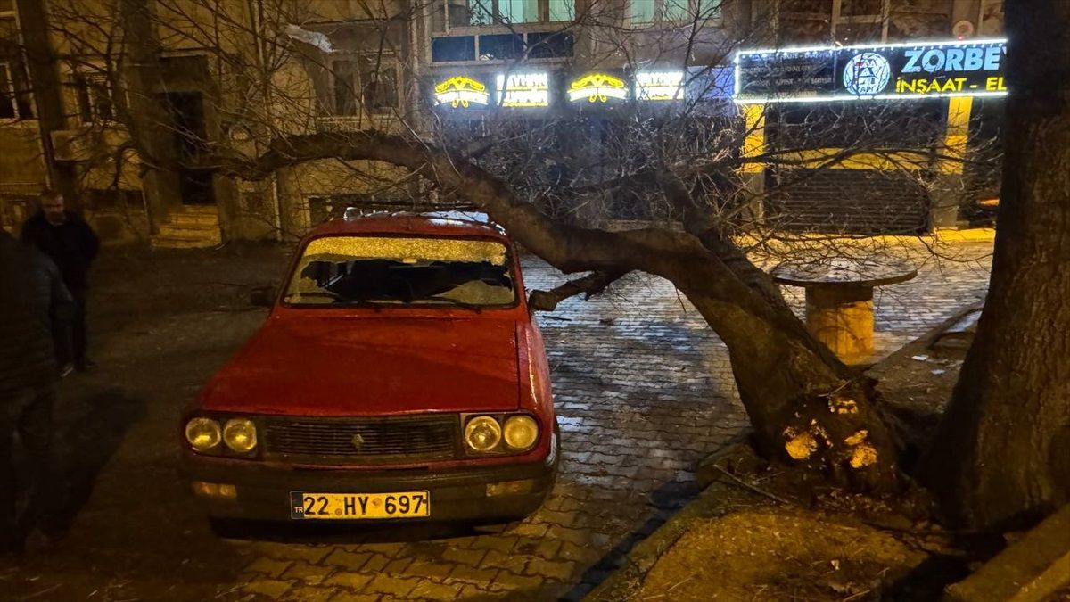 Edirne'de Ağaç Otomobilin Üzerine Devrildi: Maddi Hasar Oluştu