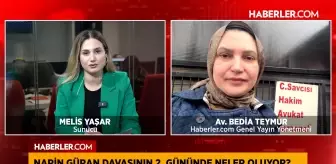 Narin Güran davasında karar beklentisi: Failler hâlâ belirsiz