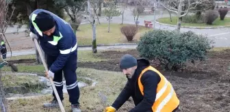 Turhal'da Şehit Tümgeneral Aydoğan Aydın Milli Egemenlik Parkı'na 6 bin lavanta fidanı dikildi