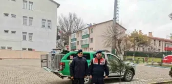 Yozgat'ta Yaralı Köpeğe Yürüteç Tasarlandı