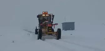 Afyonkarahisar'da Kar Yağışı Etkili Oldu