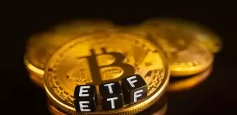 Bitcoin ETF'lerinde rekor giriş