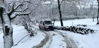 Elazığ'da Kar Yağışı Nedeniyle Mahsur Kalan Hasta Kurtarıldı