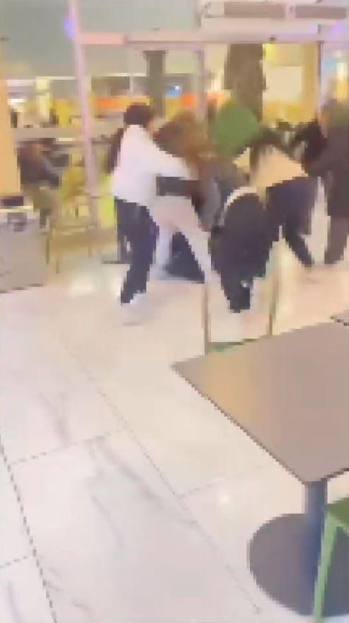 Fight Among Girls at the Shopping Center in Isparta