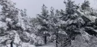 Çanakkale'de Kar Yağışı Hayatı Olumsuz Etkilemedi