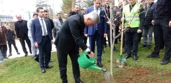 Sağlık Bakanı Memişoğlu'ndan Bilecik'te Çınar Fidanı Dikimi