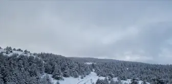 Yapraklı'nın Kar Manzarası Dronla Görüntülendi