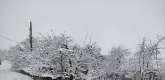 Elazığ ve Bingöl'de Kar Yağışı Ulaşımı Olumsuz Etkiledi