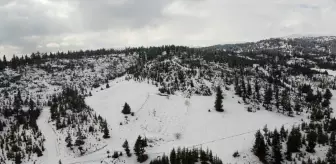 Erdemli'de Kar Yağışı Sonrası Beyaz Bir Manzara