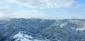 Kastamonu'da Kar Yağışı Sonrası Ormanlar Beyaza Büründü