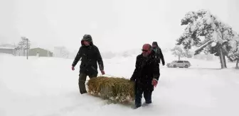 Burdur'da Yaban Hayvanlarına Kış Desteği