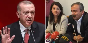 DEM Partili Koçyiğit'den İmralı mesajı: Bu süreç Erdoğan'sız olamaz