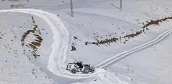 Hakkari'de Karla Mücadele Çalışmaları Başlatıldı