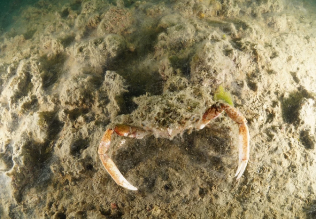 The great danger approaching Istanbul was captured like this under the water