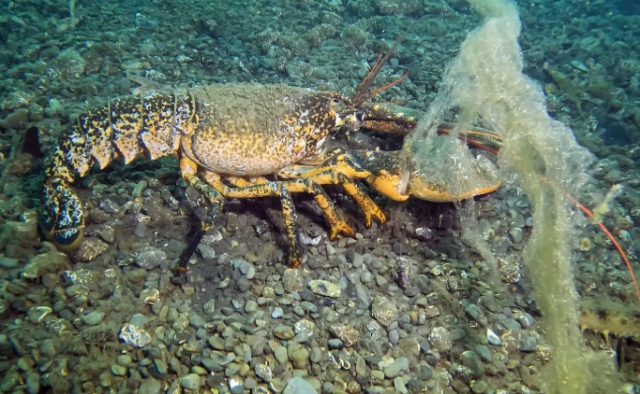 The great danger approaching Istanbul was captured like this under the water