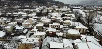 Ödemiş'te Kar Yağışı Bölgeyi Beyaza Bürüdü