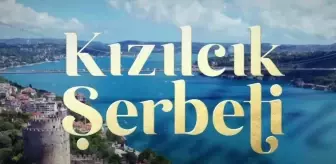 Kızılcık Şerbeti 4 ölü kim, hangi oyuncular diziden çıkıyor? Kızılcık Şerbeti son bölüm neler oldu?