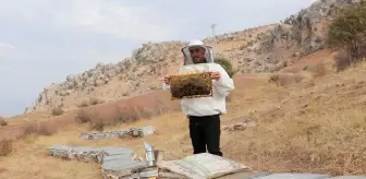 Siirt'te Genç Girişimci Arıcılıkla Geçim Sağlıyor