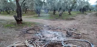 Aydın'da Enerji Nakil Kablolarını Çalan Şahıslar Yakalandı