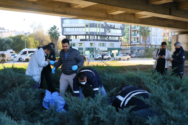 Those who followed the bad smell coming from the bushes were horrified by what they saw