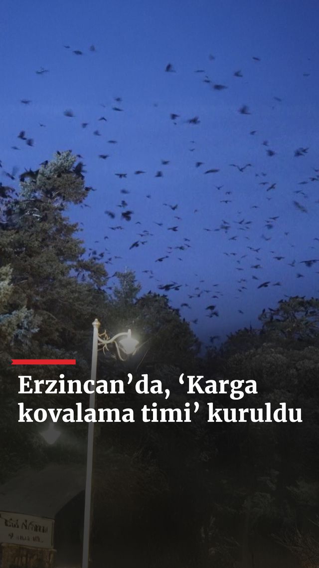https://foto.haberler.com/haber/2024/12/31/erzincanda-karga-kovalama-timi-kuruldu_3080_o.jpg