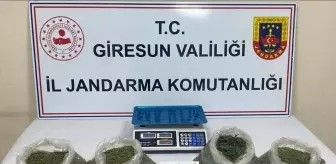 Giresun'da Uyuşturucu Operasyonu: 2 Şüpheli Tutuklandı