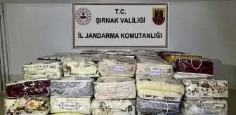 Şırnak'ta Kaçakçılık Operasyonları: 17 Gözaltı ve Milyonluk Malzeme Ele Geçirildi