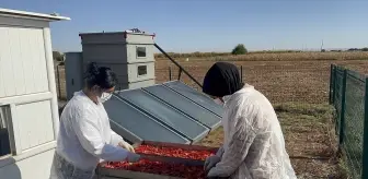 Şanlıurfa'da Güneş Enerjisiyle Biber Kurutma Makinesi Üretildi