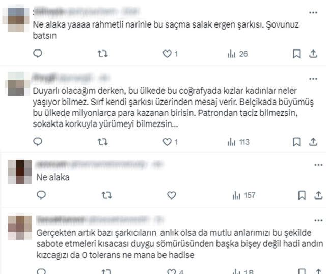 The song Hadise performed for Narin on New Year's Eve sparked controversy