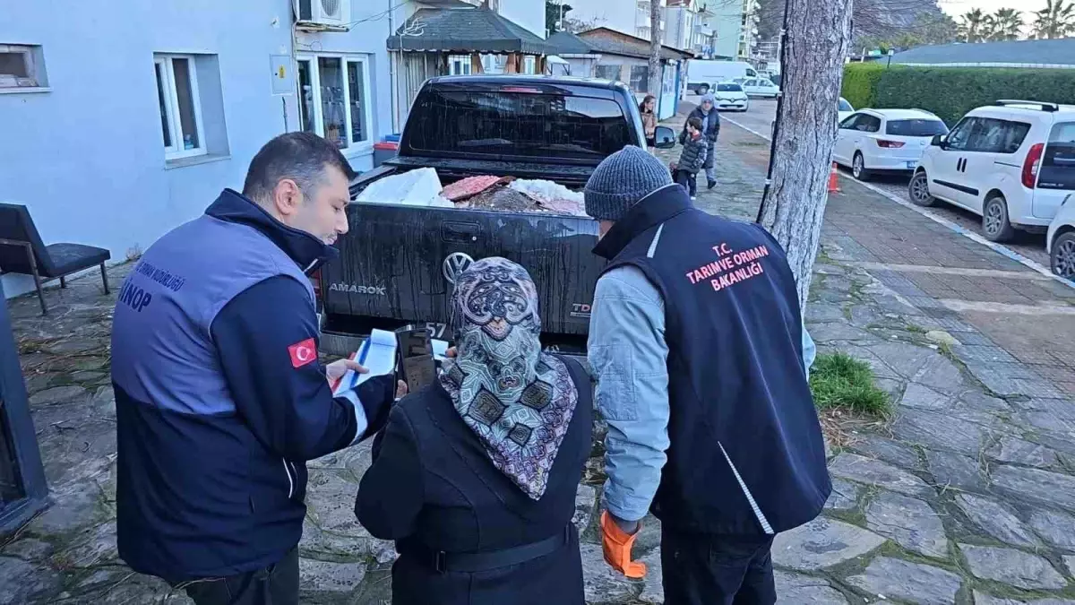 Sinop'ta Yasa Dışı Avcılıkla Ele Geçirilen 380 Kalkan Balığı İhtiyaç Sahiplerine Dağıtıldı