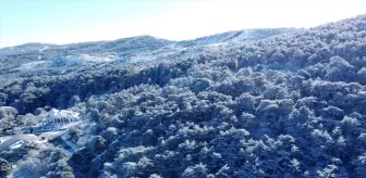 Yozgat Çamlığı Milli Parkı'nda Kar Manzarası