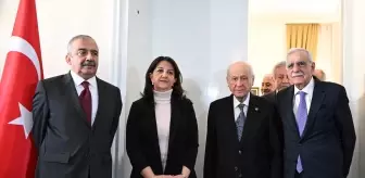 DEM Parti ve Devlet Bahçeli neden görüştü?