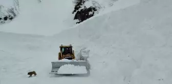 Artvin'in Borçka ilçesinde kapanan köylere ulaşım sağlandı