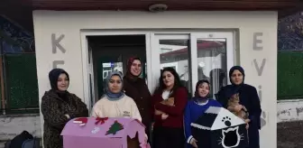 Gümüşhane'de Atıl Güvenlik Kulübesi Kedi Evi Oldu